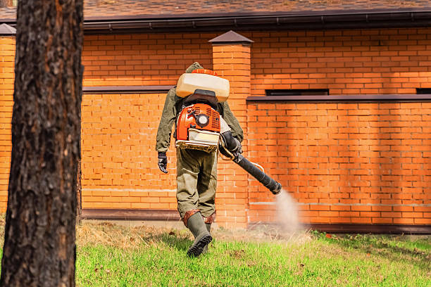 Bed Bug Clearance Verification and Documentation in Rio Dell